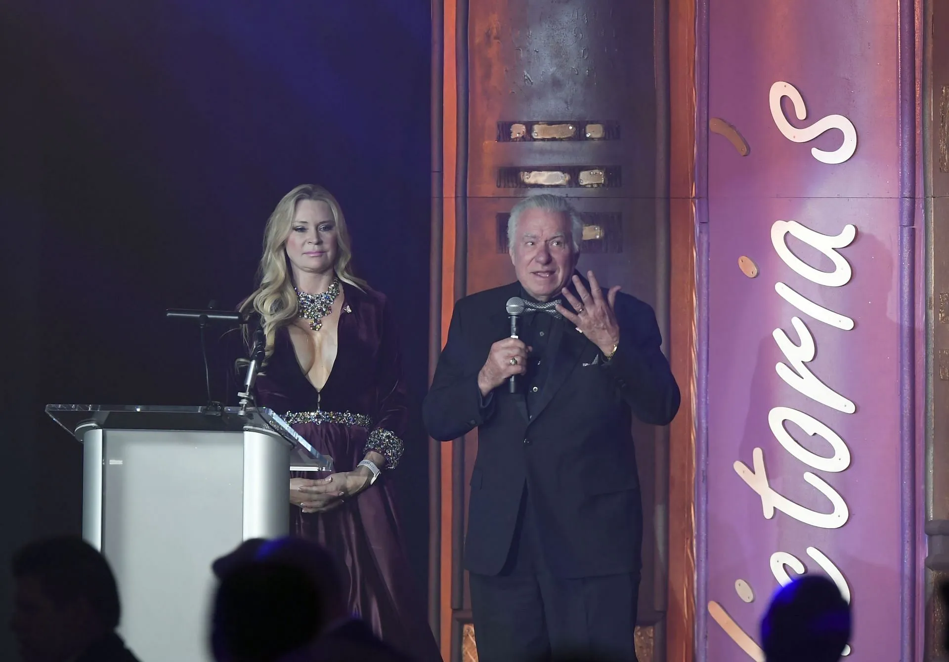 Jackie Siegel and David Siegel speak at 'Victoria's Voice - An Evening To Save Lives' - Image via Getty