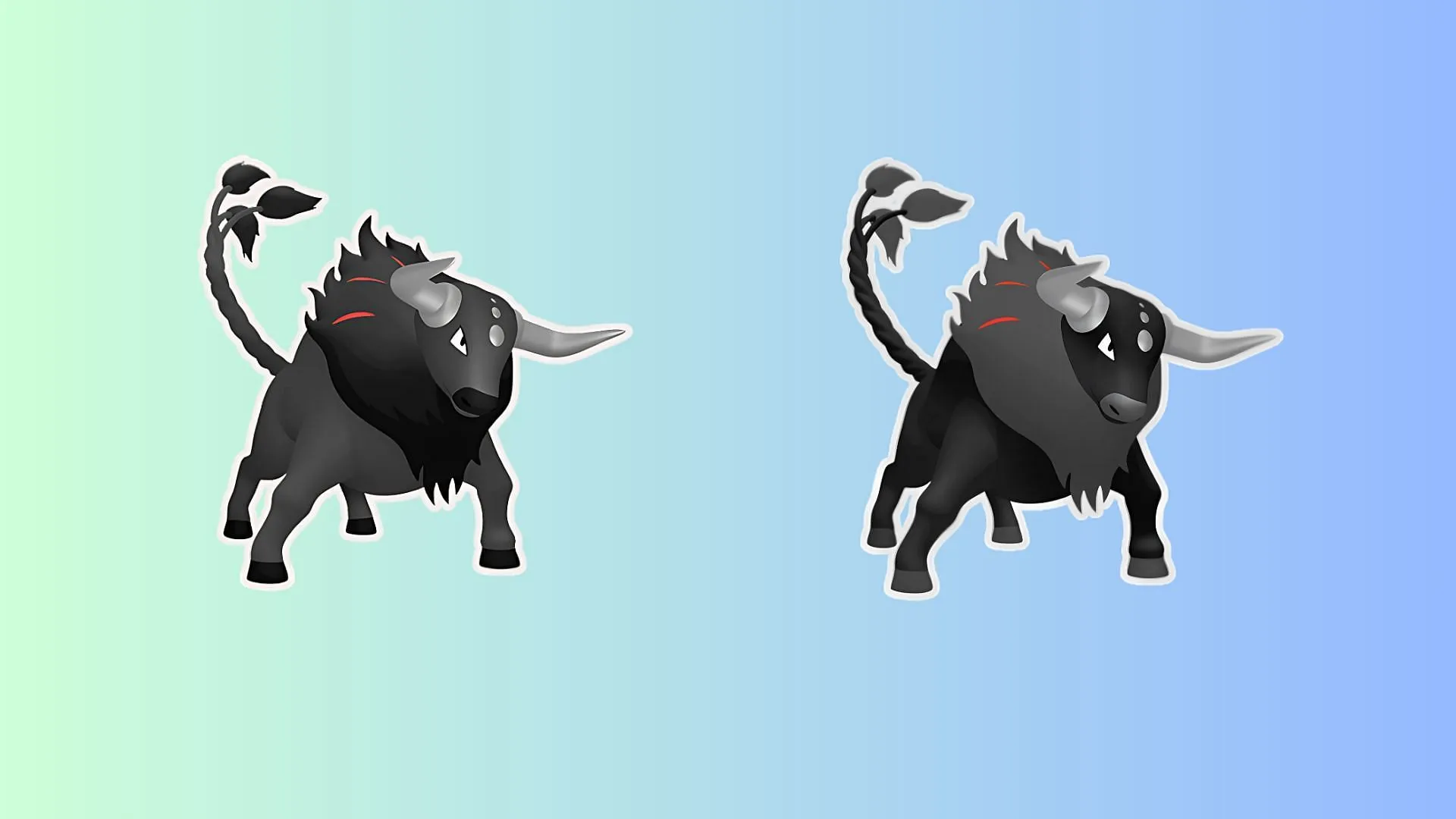 Blaze Tauros is currently not shiny (Image via TPC) Blaze Tauros is currently not shiny (Image via TPC)