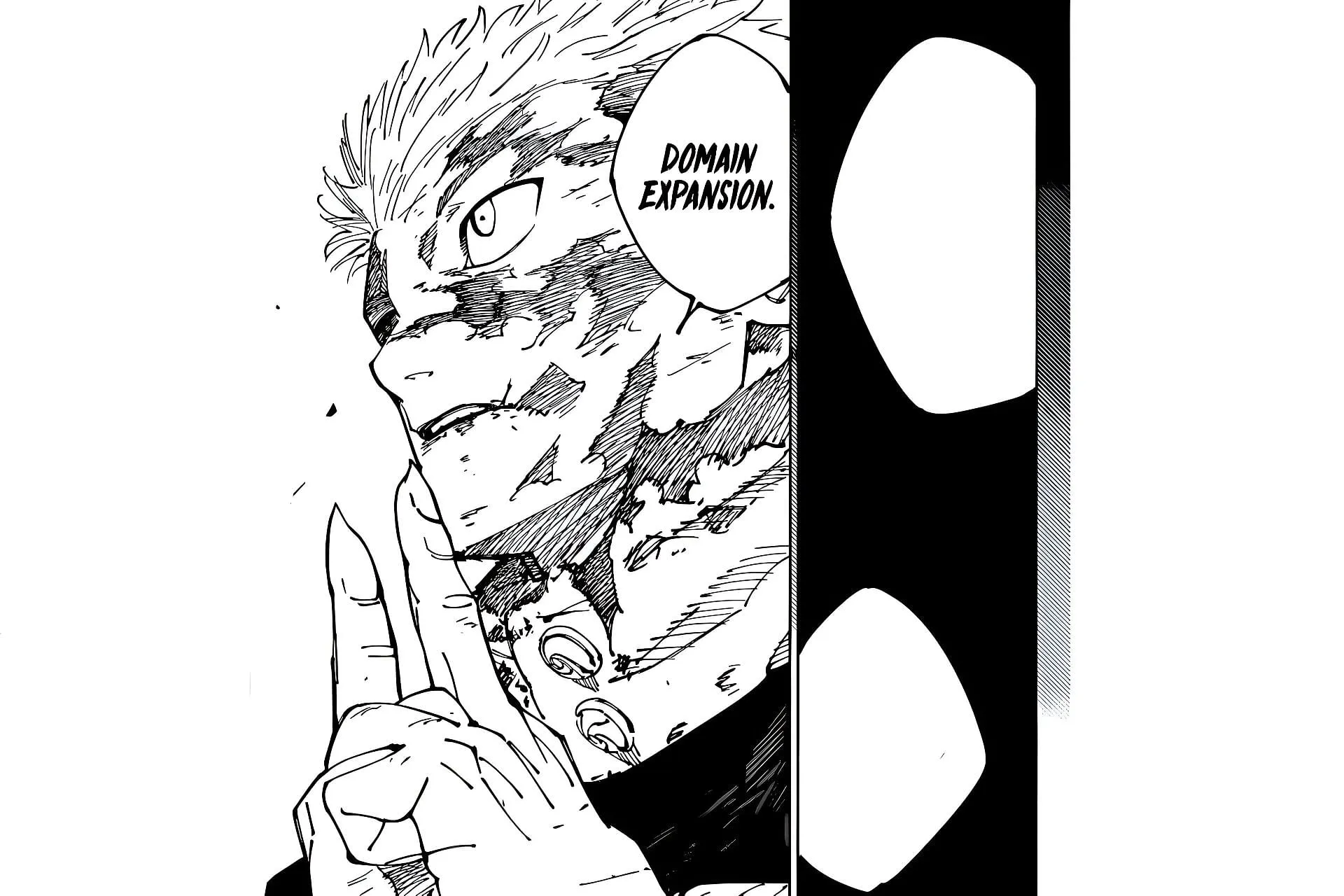 Yuji's domain expansion as seen in the manga (Image via Gege Akutami/Shueisha) Yuji's domain expansion as seen in the manga (Image via Gege Akutami/Shueisha)