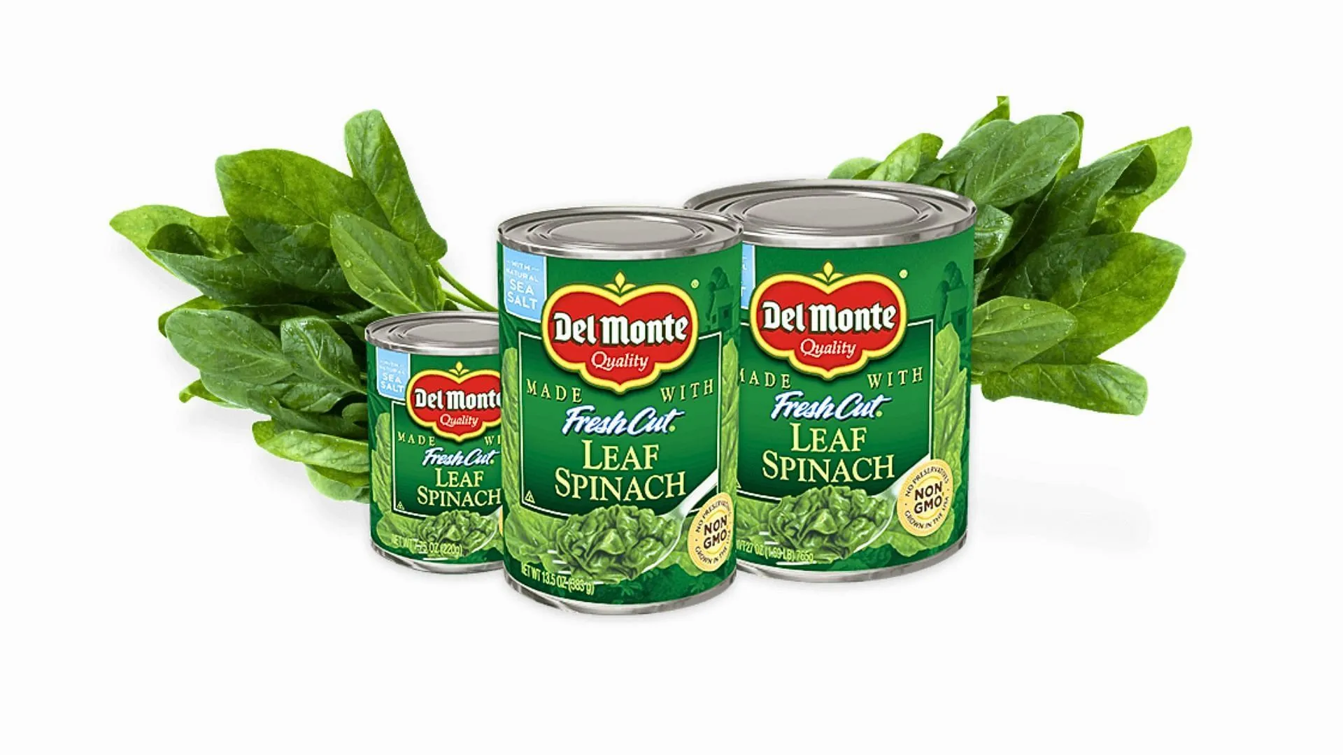 A convenient way to incorporate greens in the meal (Image via delmonte.com) A convenient way to incorporate greens in the meal (Image via delmonte.com)