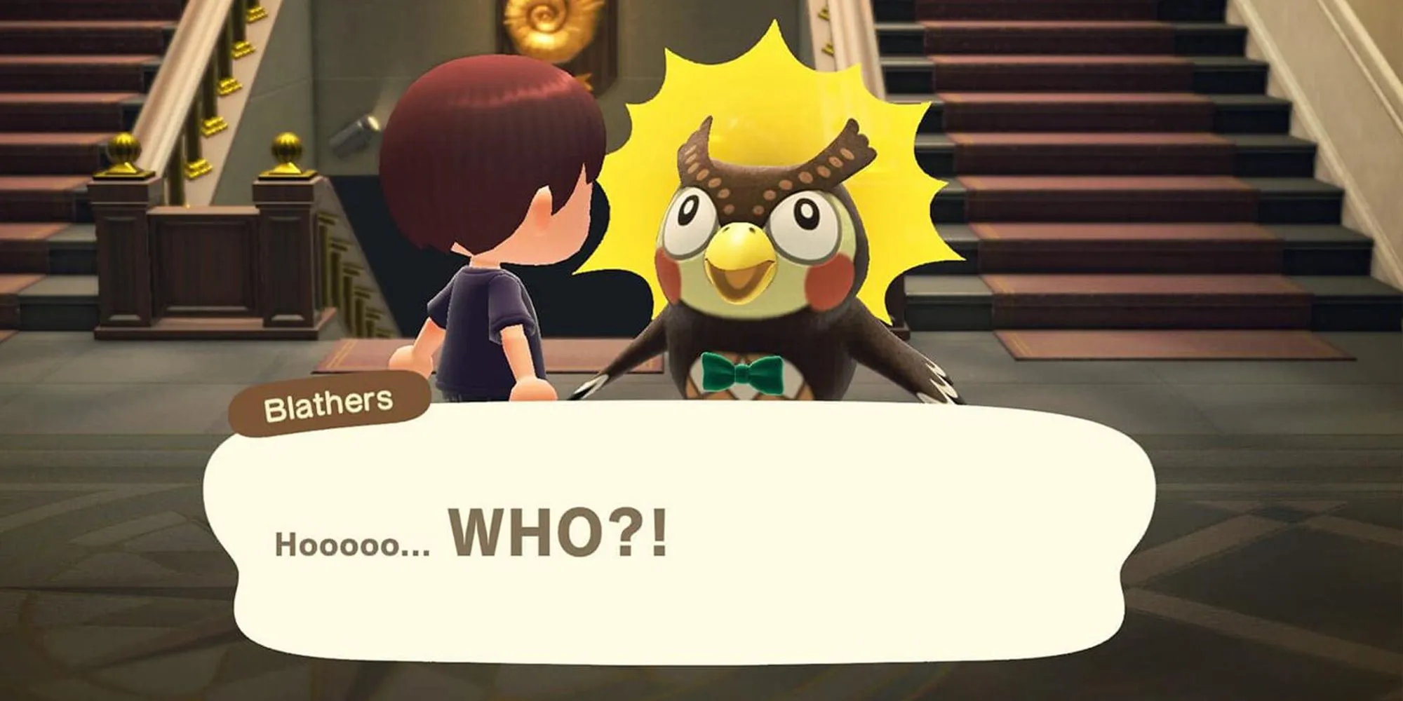 Surprised Blathers in Animal Crossing: New Horizons Surprised Blathers in Animal Crossing: New Horizons