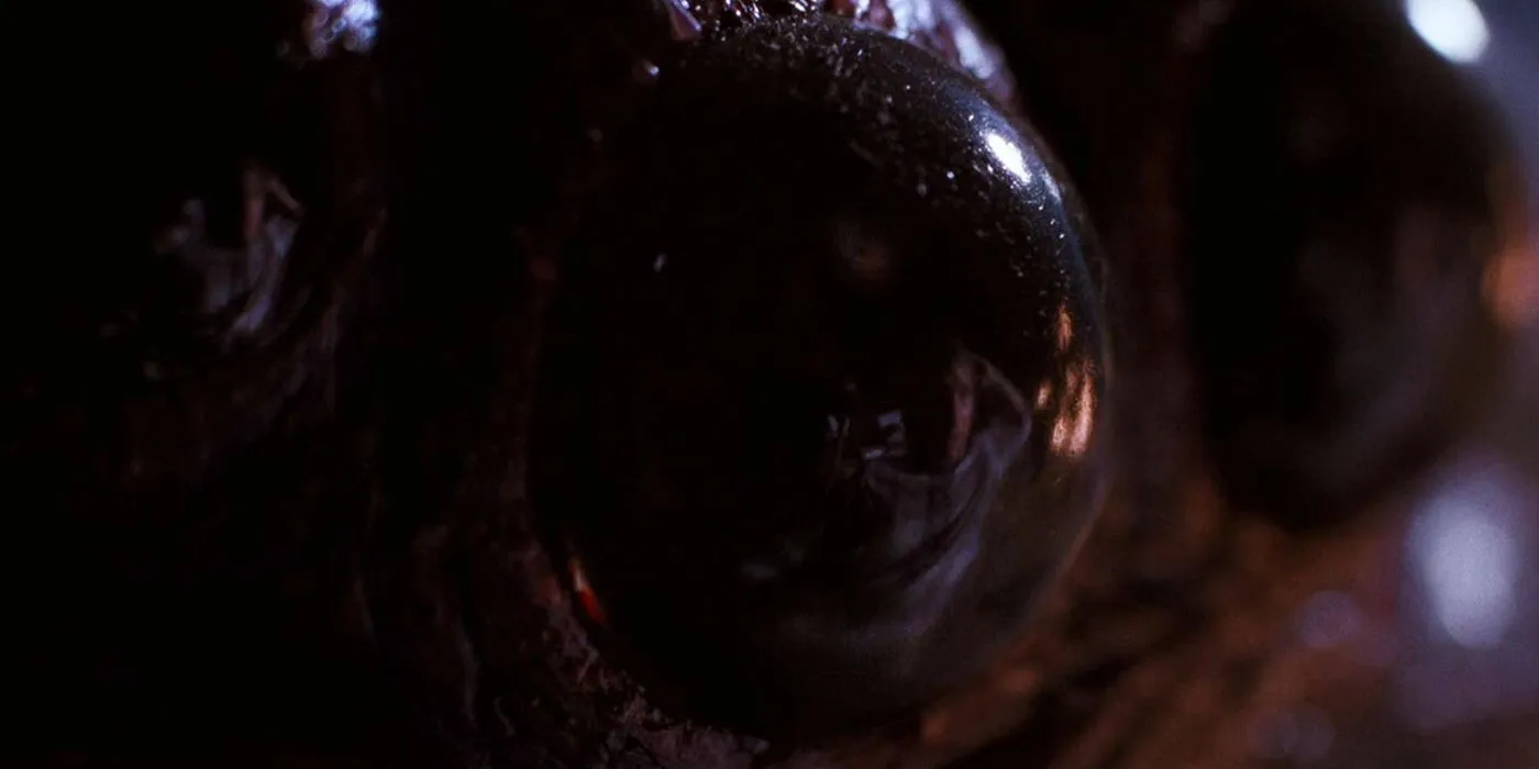 A spider from Arachnophobia A spider from Arachnophobia