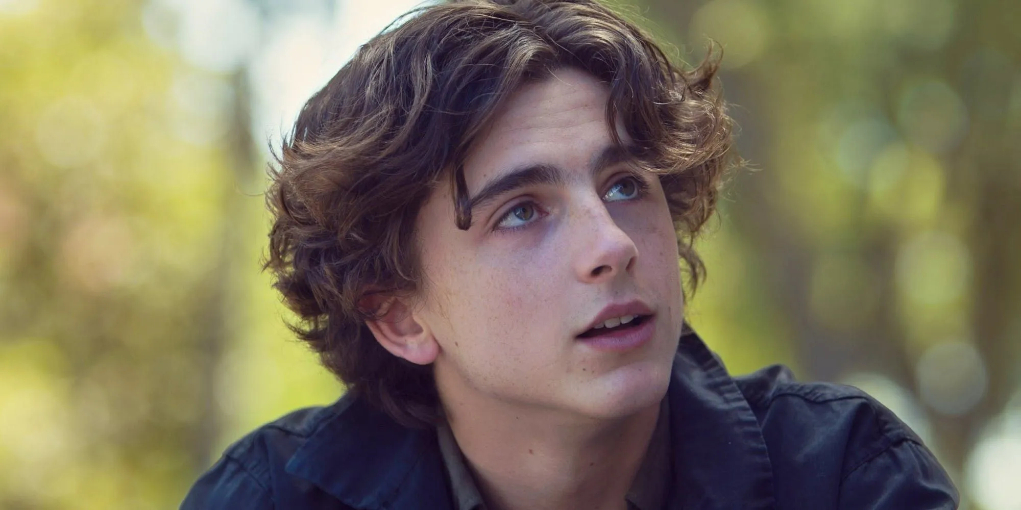 Timothée Chalamet in Lady Bird