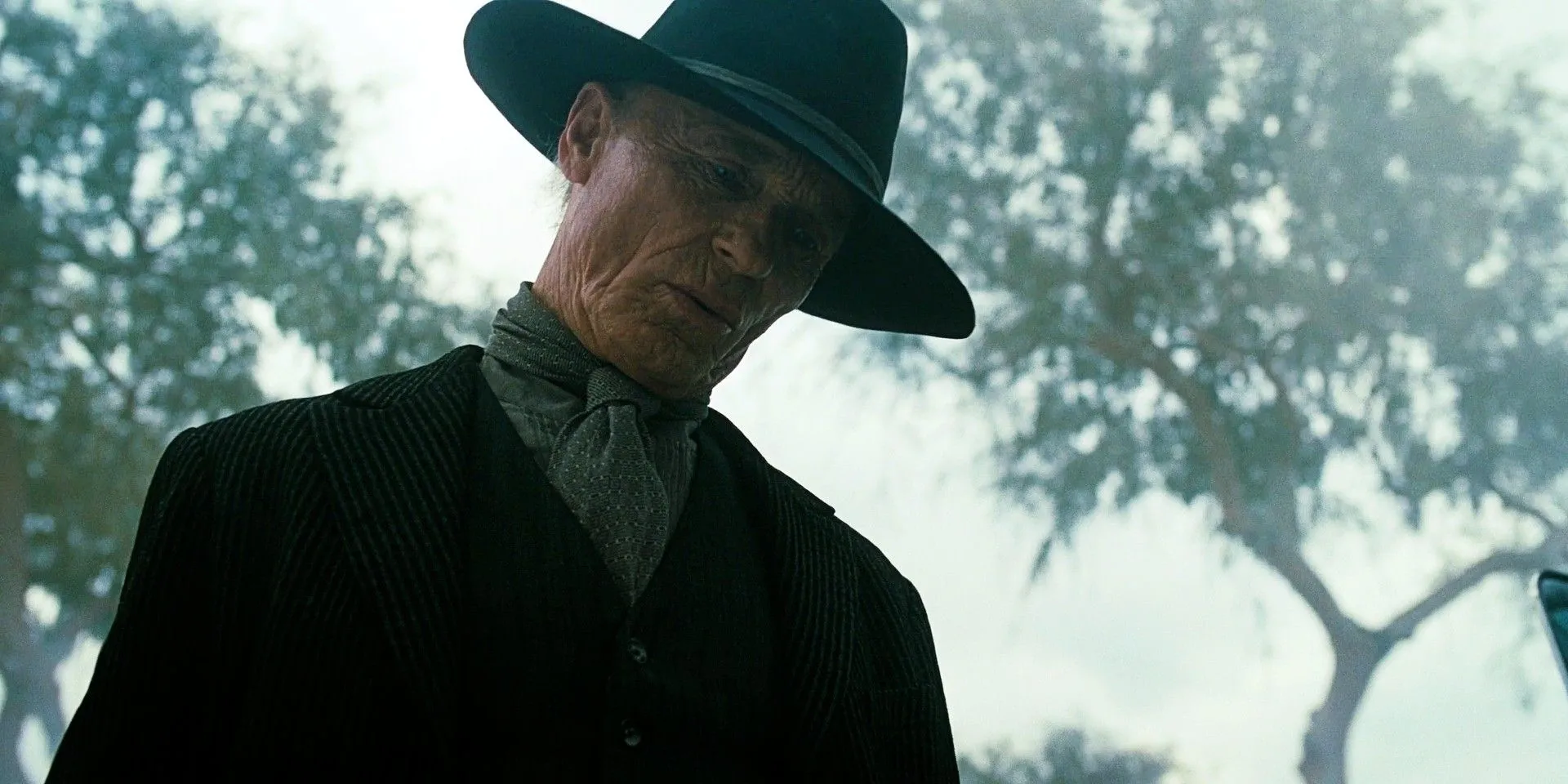 Ed Harris in Westworld Ed Harris in Westworld