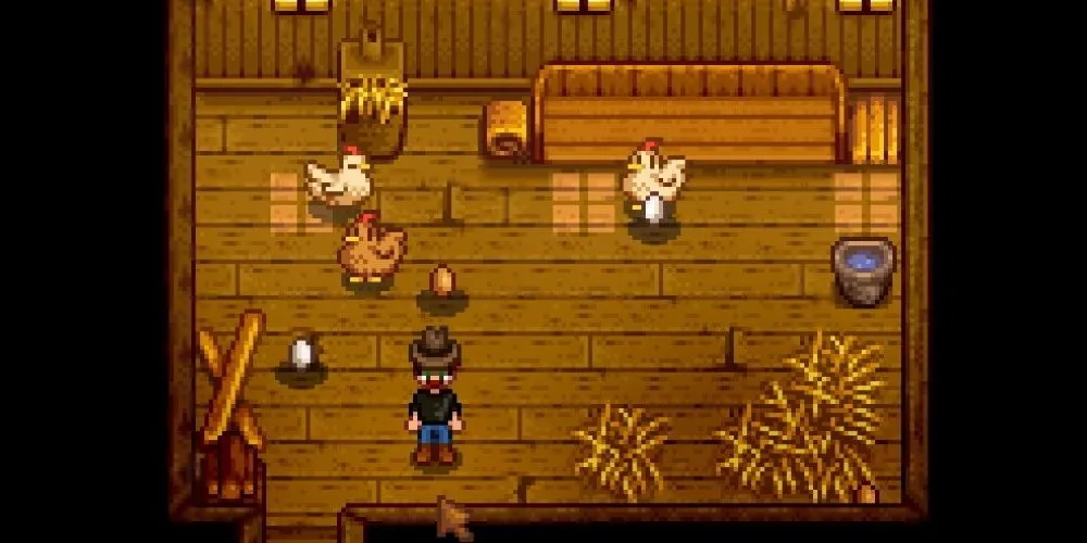 Jugador con gallinas en el gallinero. Jugador con gallinas en el gallinero.