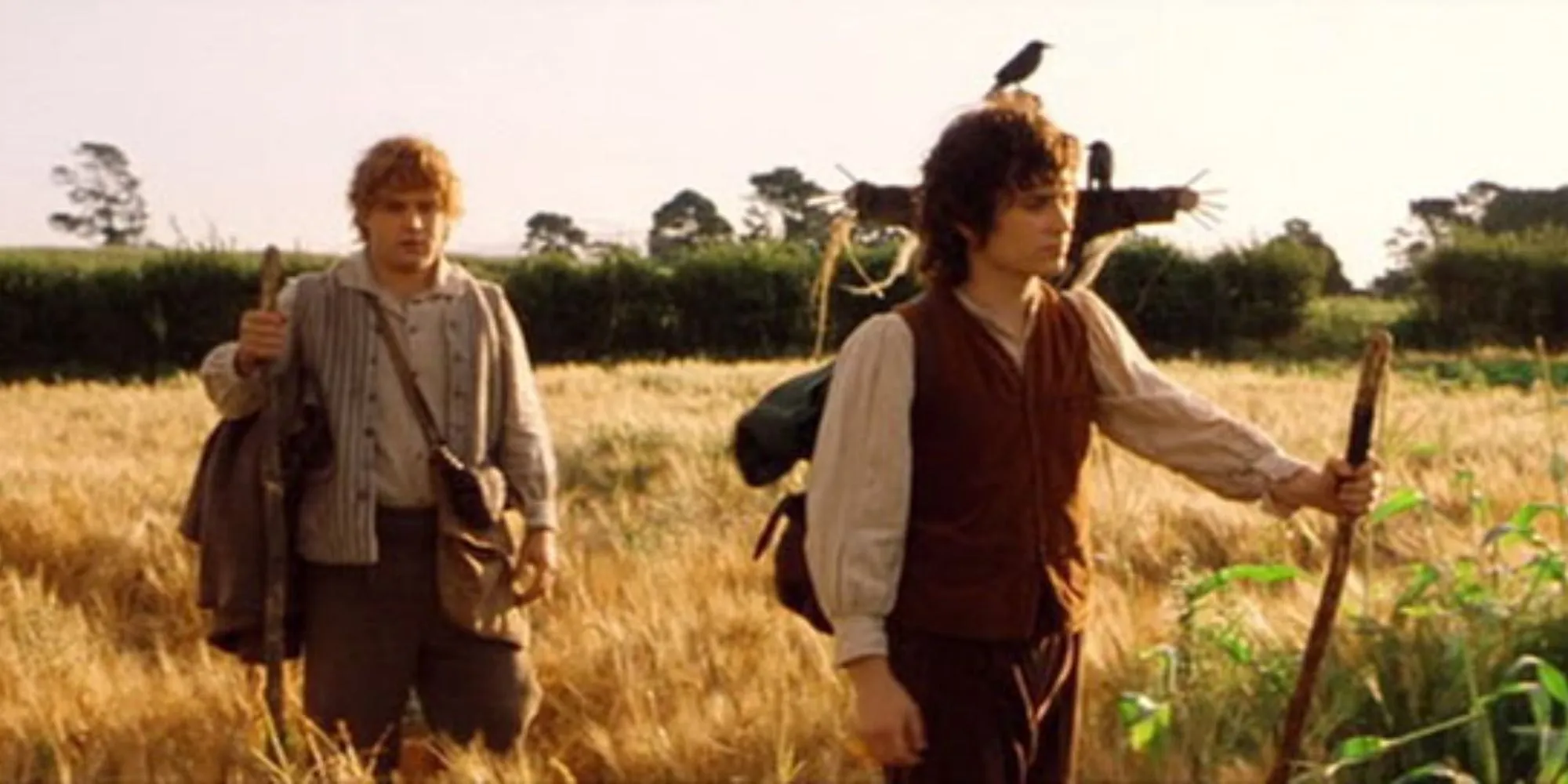 Frodo and Sam walking together