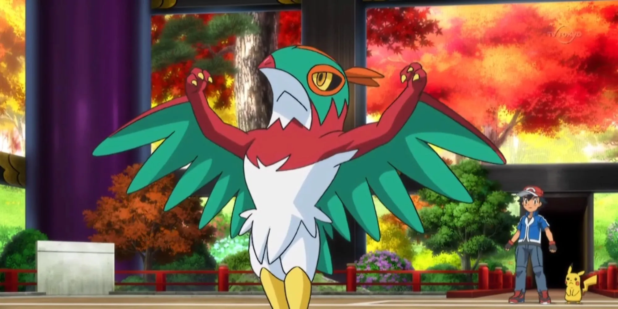 Hawlucha Hawlucha