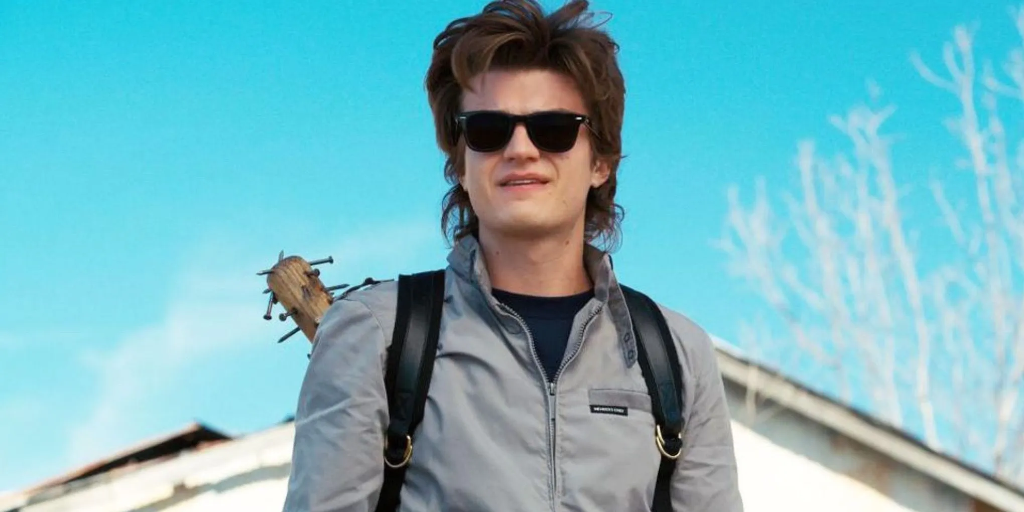 Joe Keery as Steve Harrington