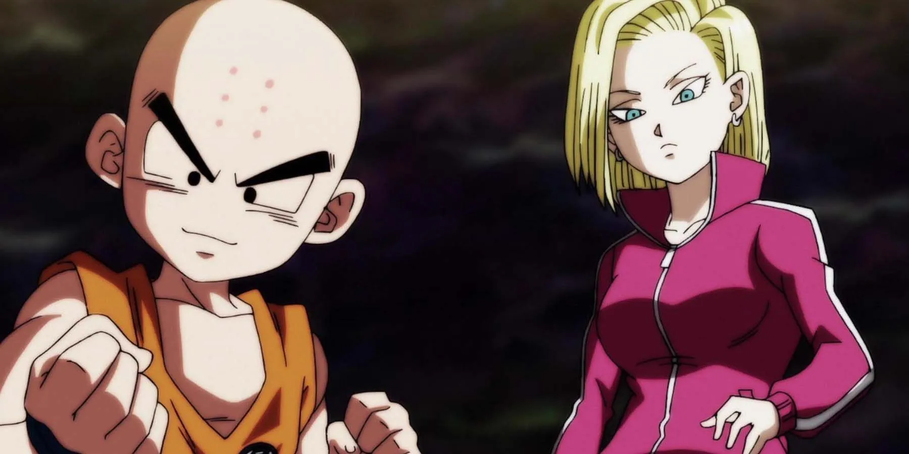 Krillin and Android 18 in the Tournament of Power Krillin and Android 18 in the Tournament of Power