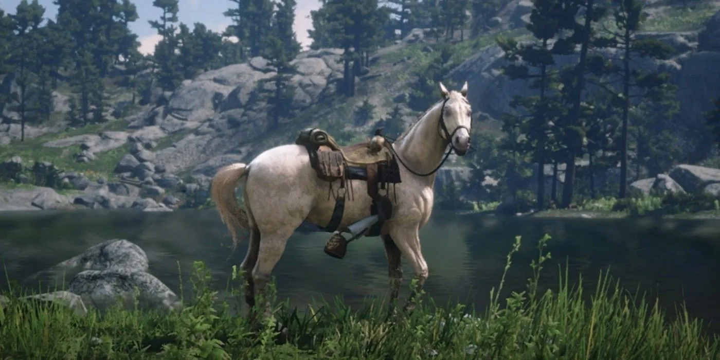 Buell, Hamish's horse