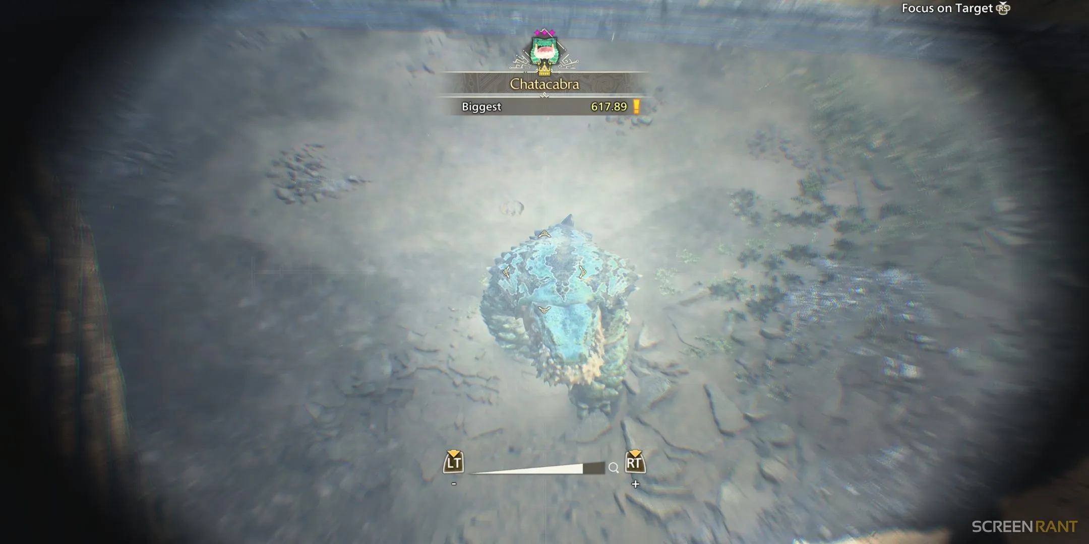 Gold crown for Chatacabra