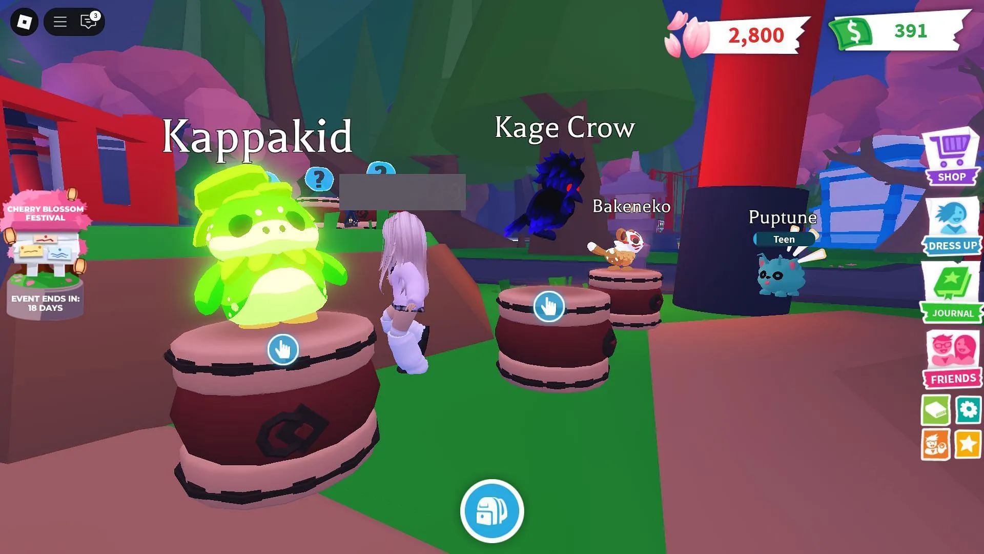The Kappakid pet (Image via Roblox)