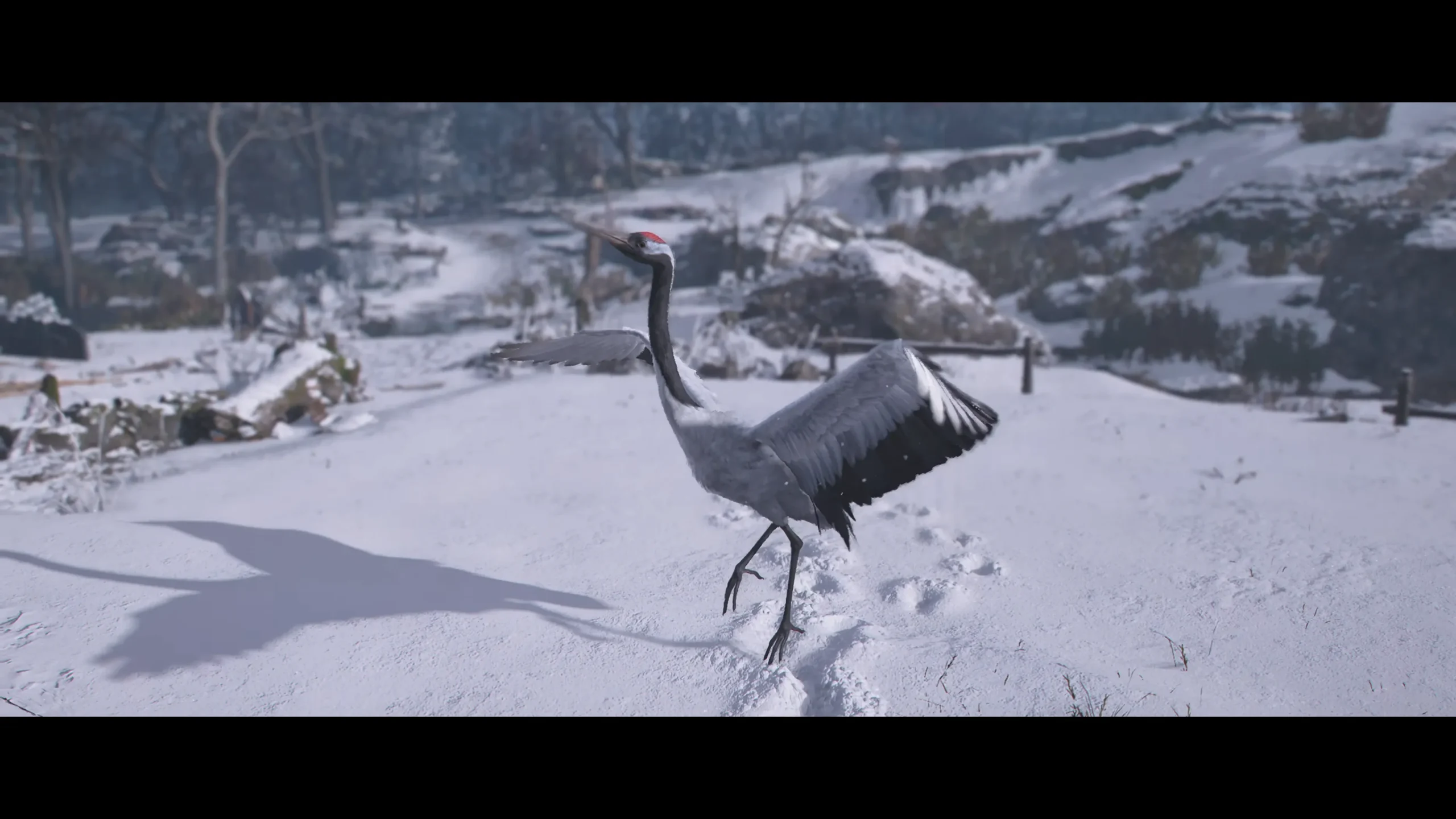 Legendary Red-Crowned Crane 1