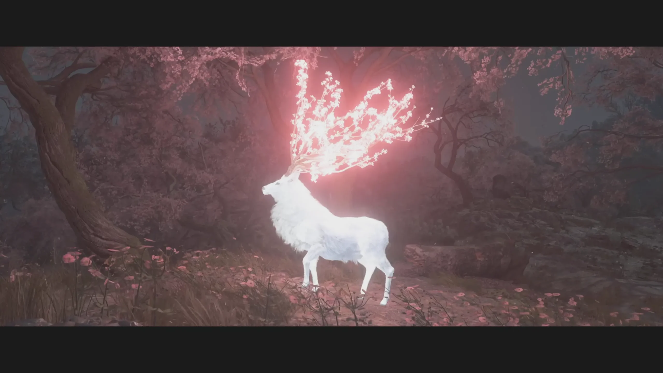 Legendary Sakura Shika Deer 1
