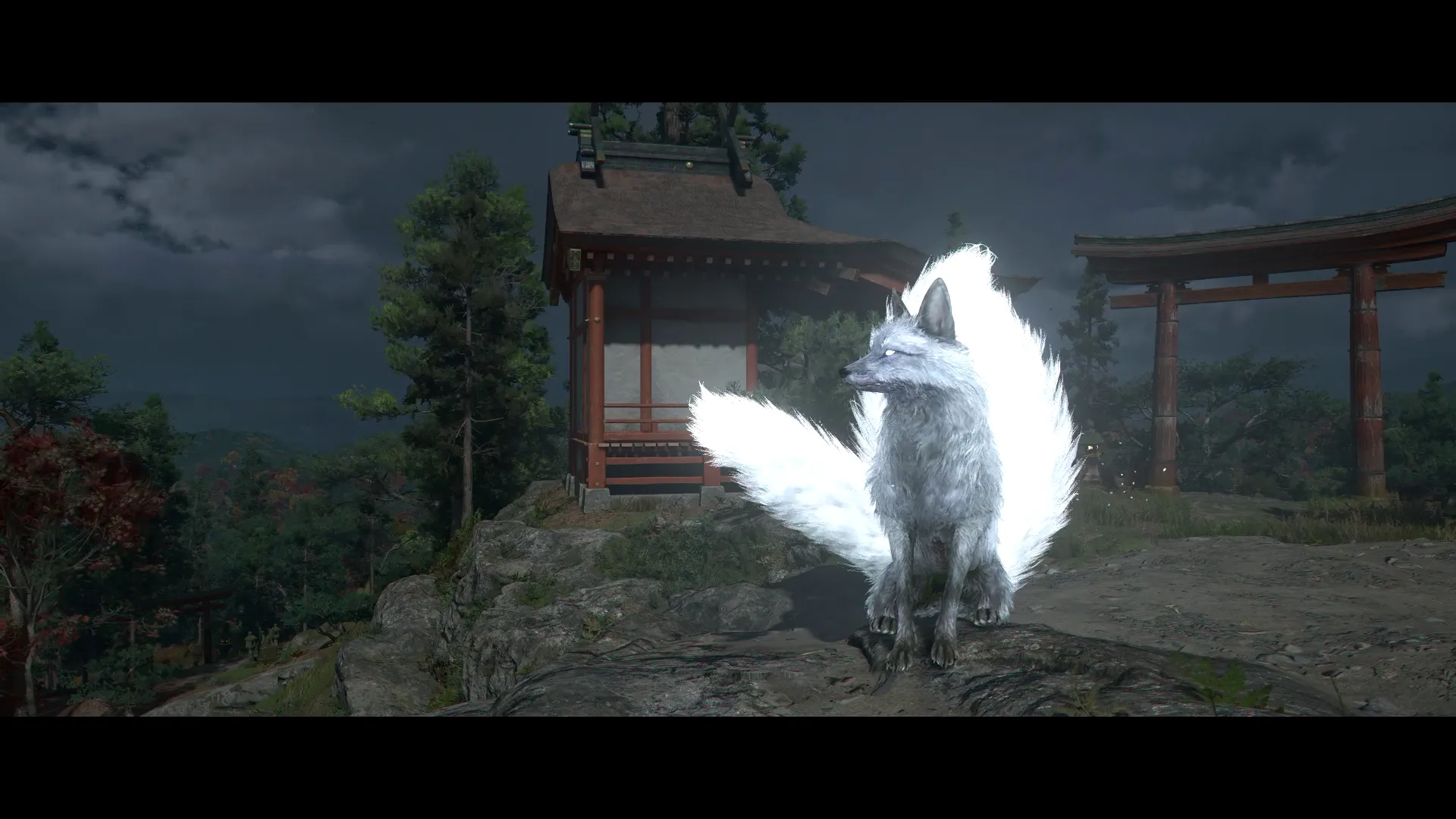 Legendary Silver Fox 4
