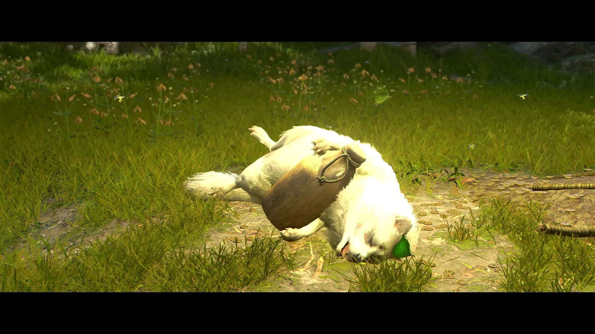 Legendary White Tanuki 5