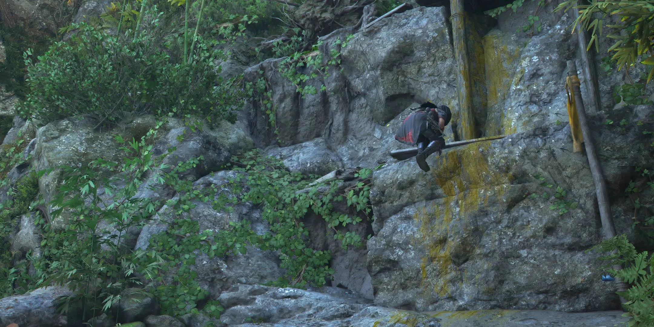 Naeo climbing a cliff with yellow markings.