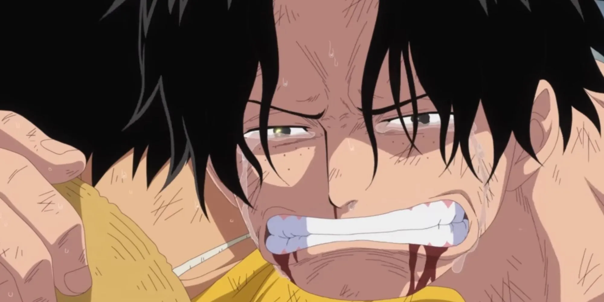 Ace's Last Moments with Luffy Ace's Last Moments with Luffy
