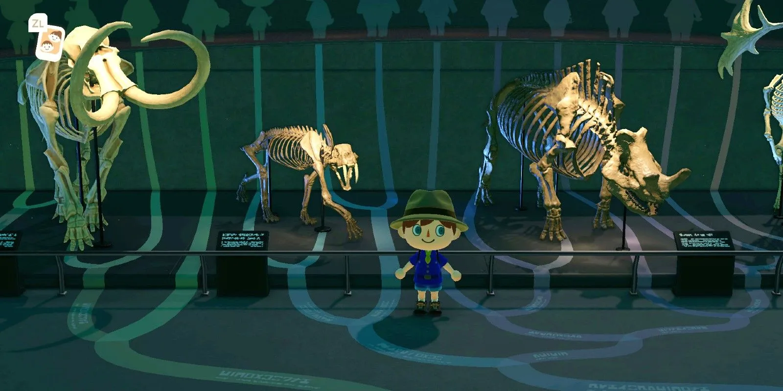 Fossil display in Animal Crossing: New Horizons Fossil display in Animal Crossing: New Horizons