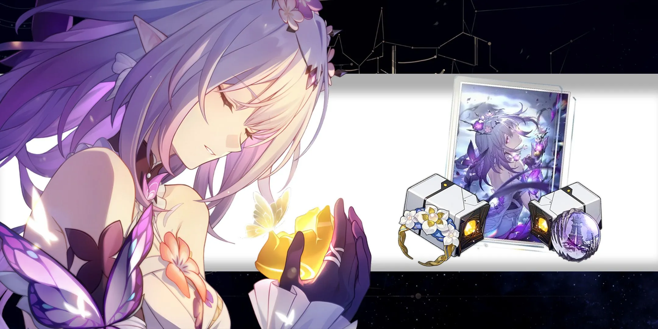 Best Castorice Build in Honkai Star Rail