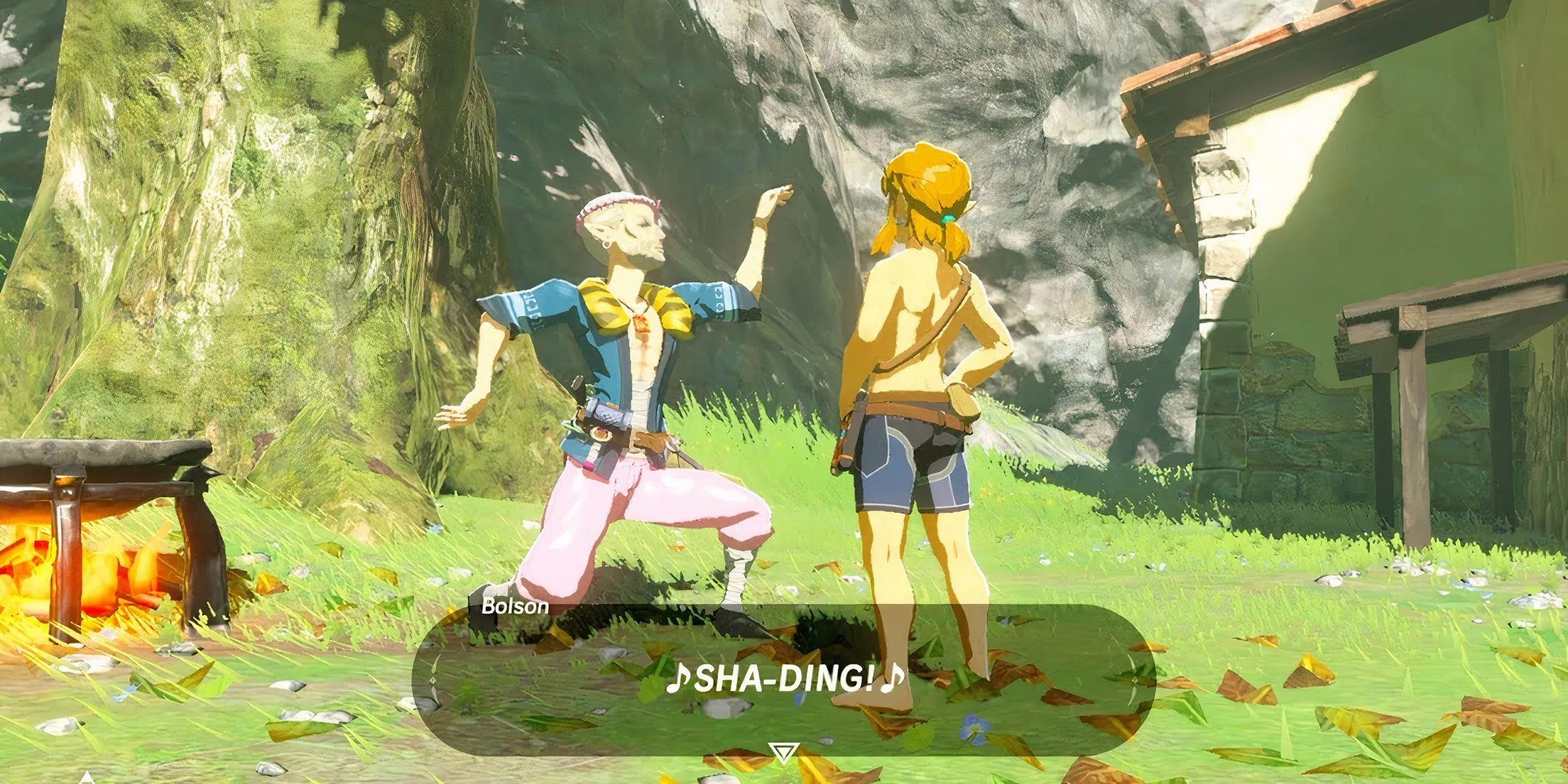 Bolson and Link