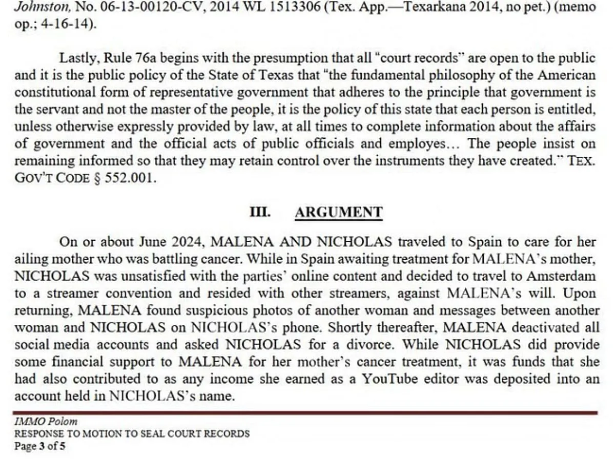 Nmplol accused of cheating (Image via X/@Awk20000)
