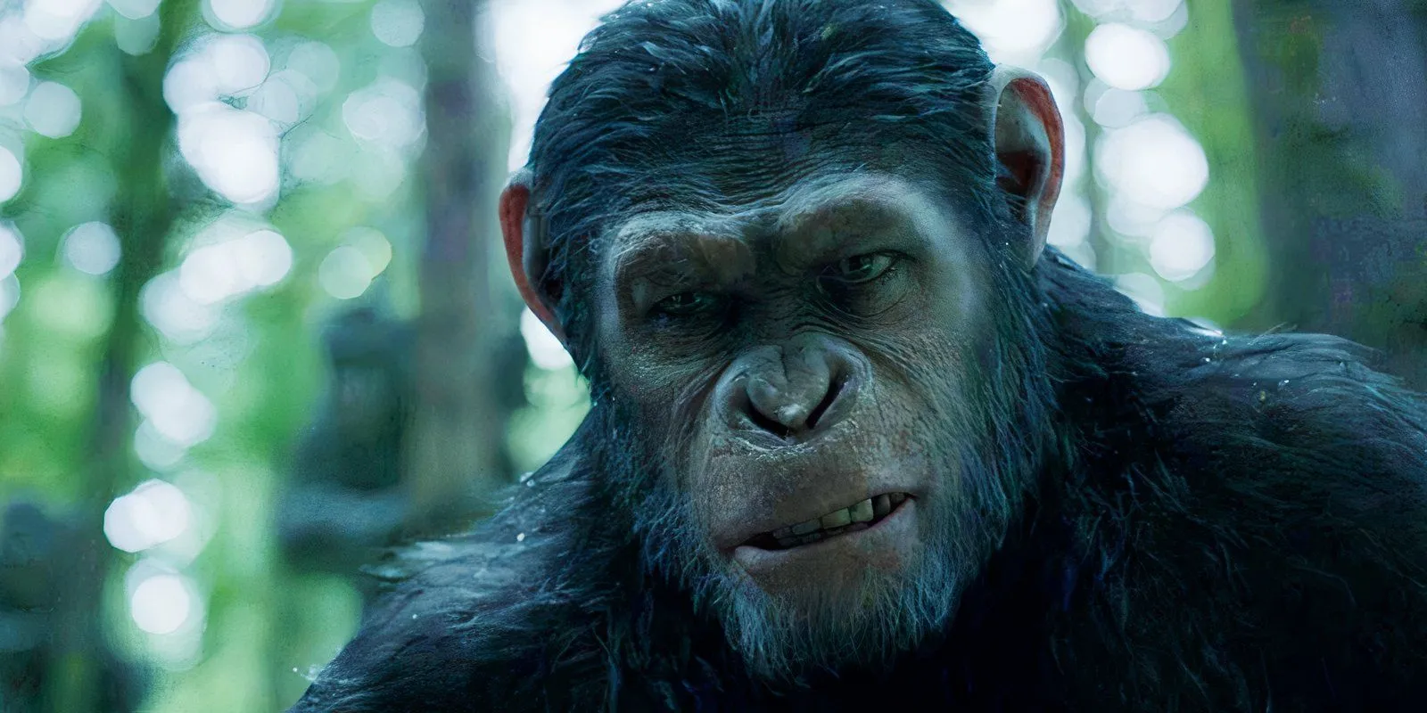 Andy Serkis as Caesar in Dawn of the Planet of the Apes