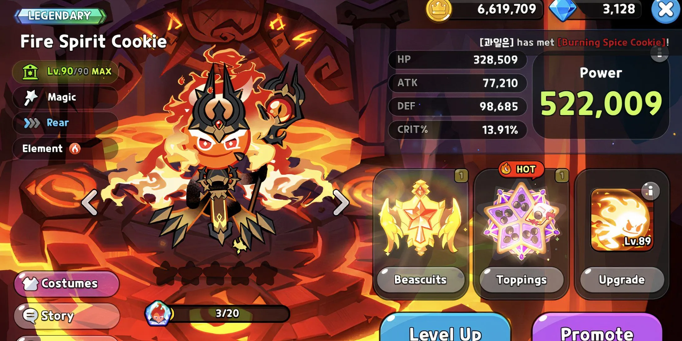 Fire Spirit Cookie Fire Spirit Cookie