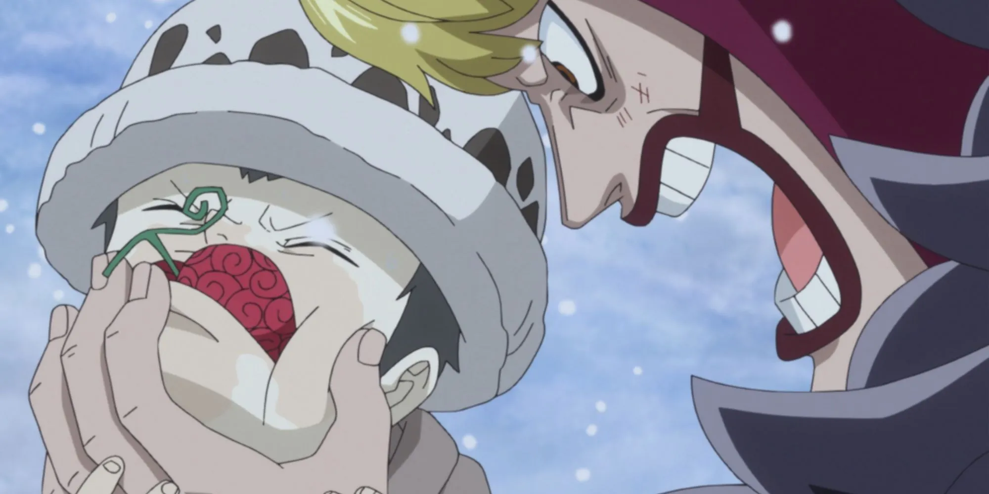 Law's Fur Hat