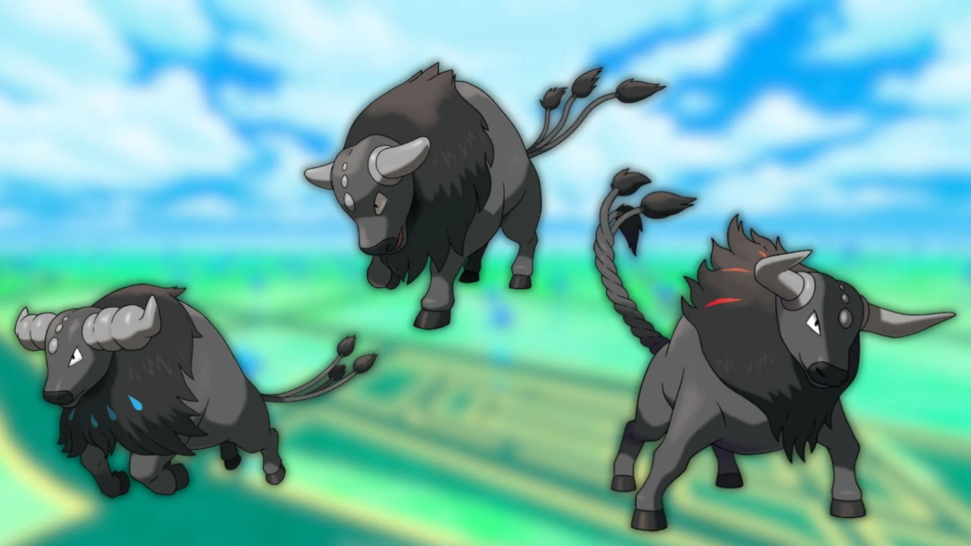 All Paldean Tauros variants (Image via The Pokemon Company) All Paldean Tauros variants (Image via The Pokemon Company)