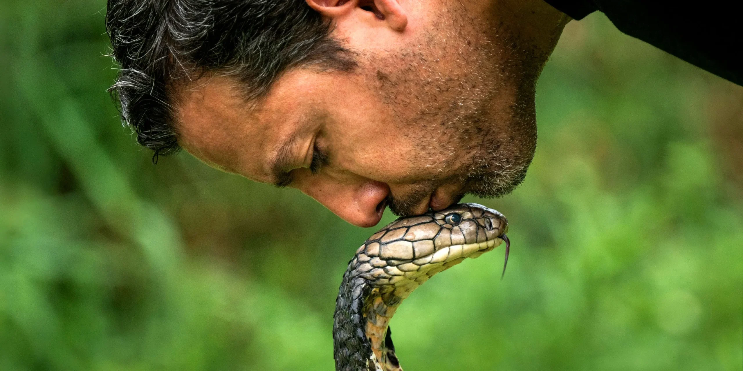 David Blaine with a king cobra