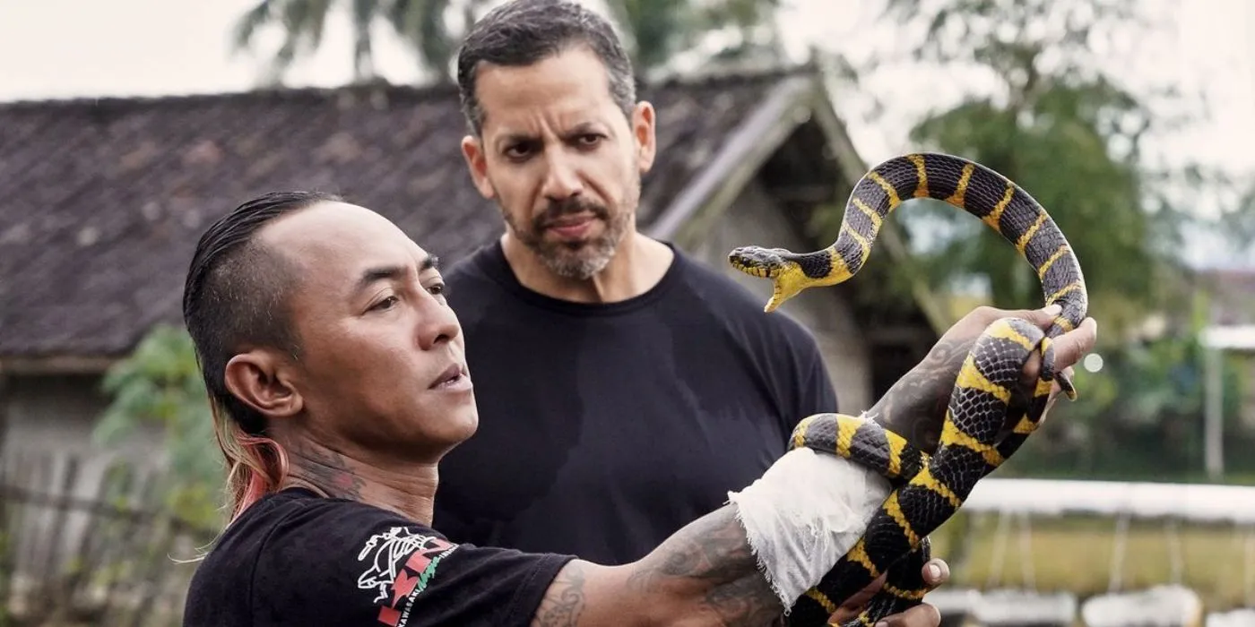 David Blaine watching a snake charmer