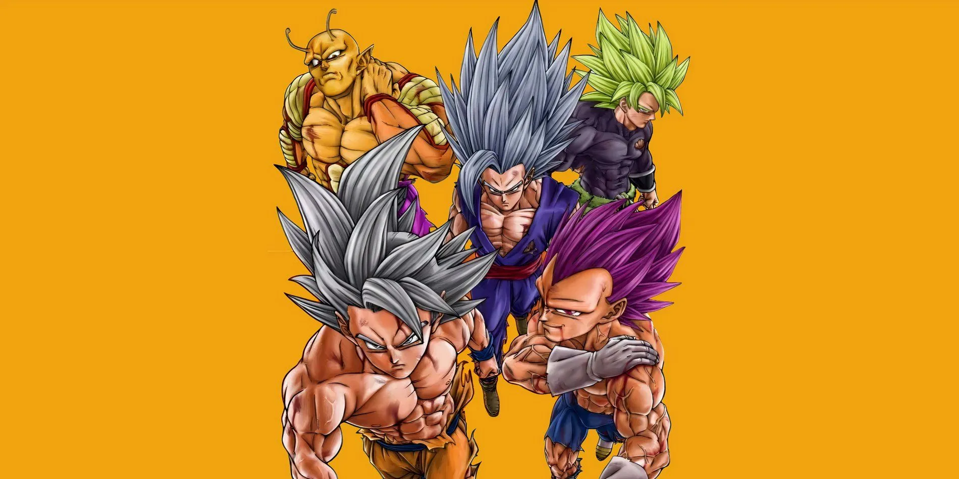 Goku, Vegeta, Gohan, Piccolo, and Broly from the cover of Dragon Ball Super volume #24. Goku, Vegeta, Gohan, Piccolo, and Broly from the cover of Dragon Ball Super volume #24.