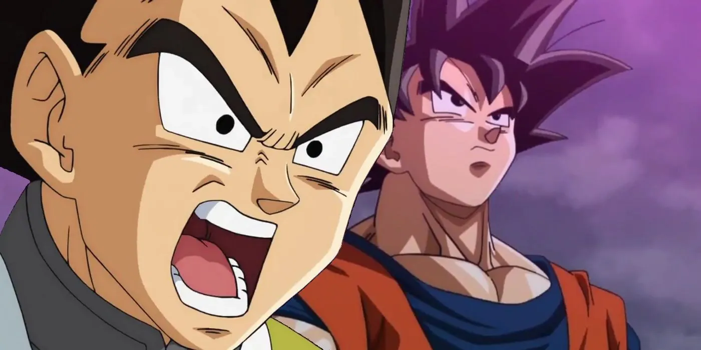 Goku and Vegeta in Dragon Ball Super