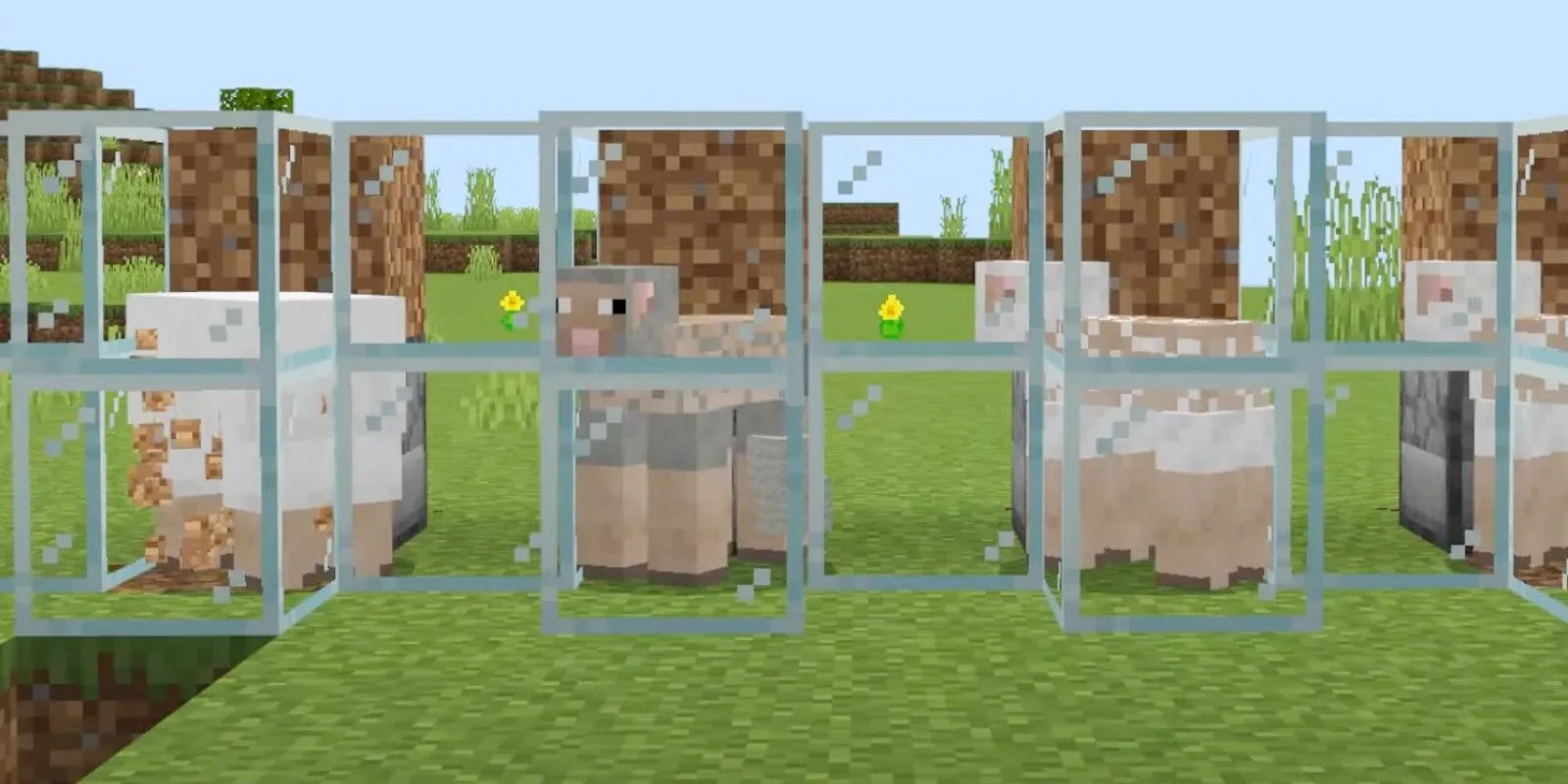 Sheep Farming in Minecraft