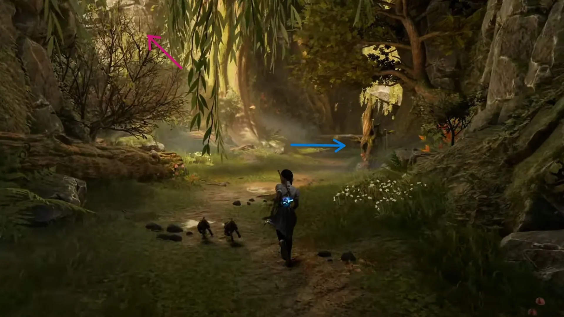 Finding the birdhole for collectibles