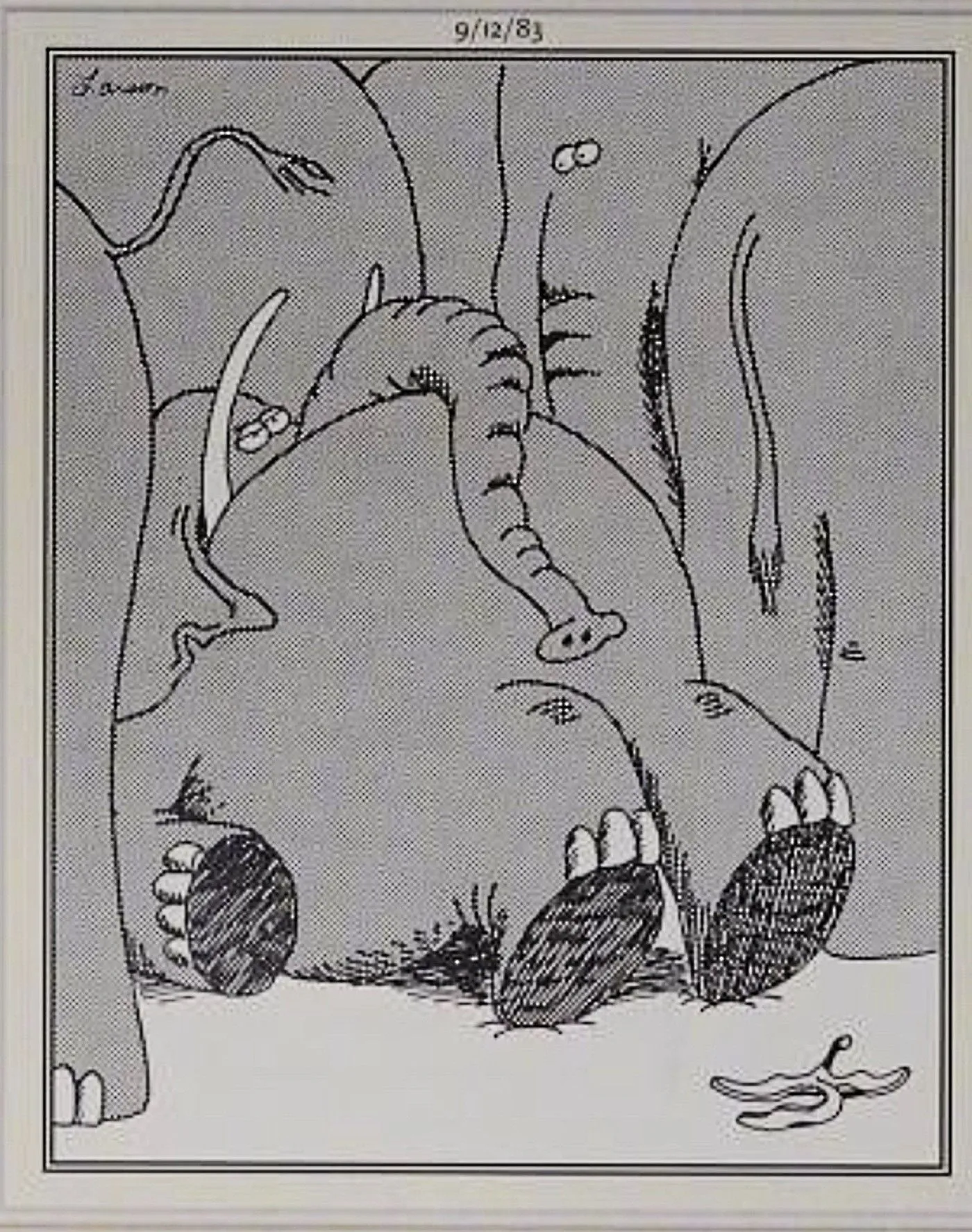 Far Side, elephant slips on a banana peel