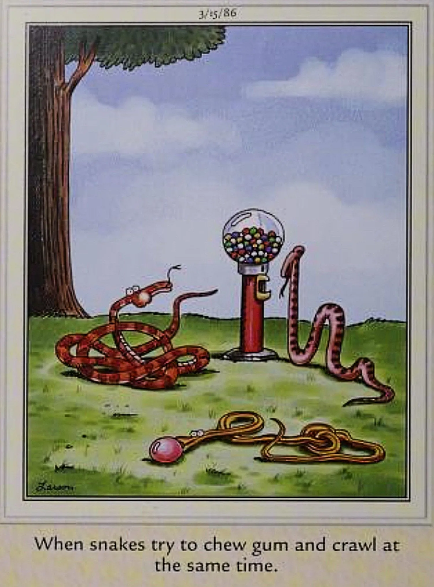 Far Side, snakes struggling