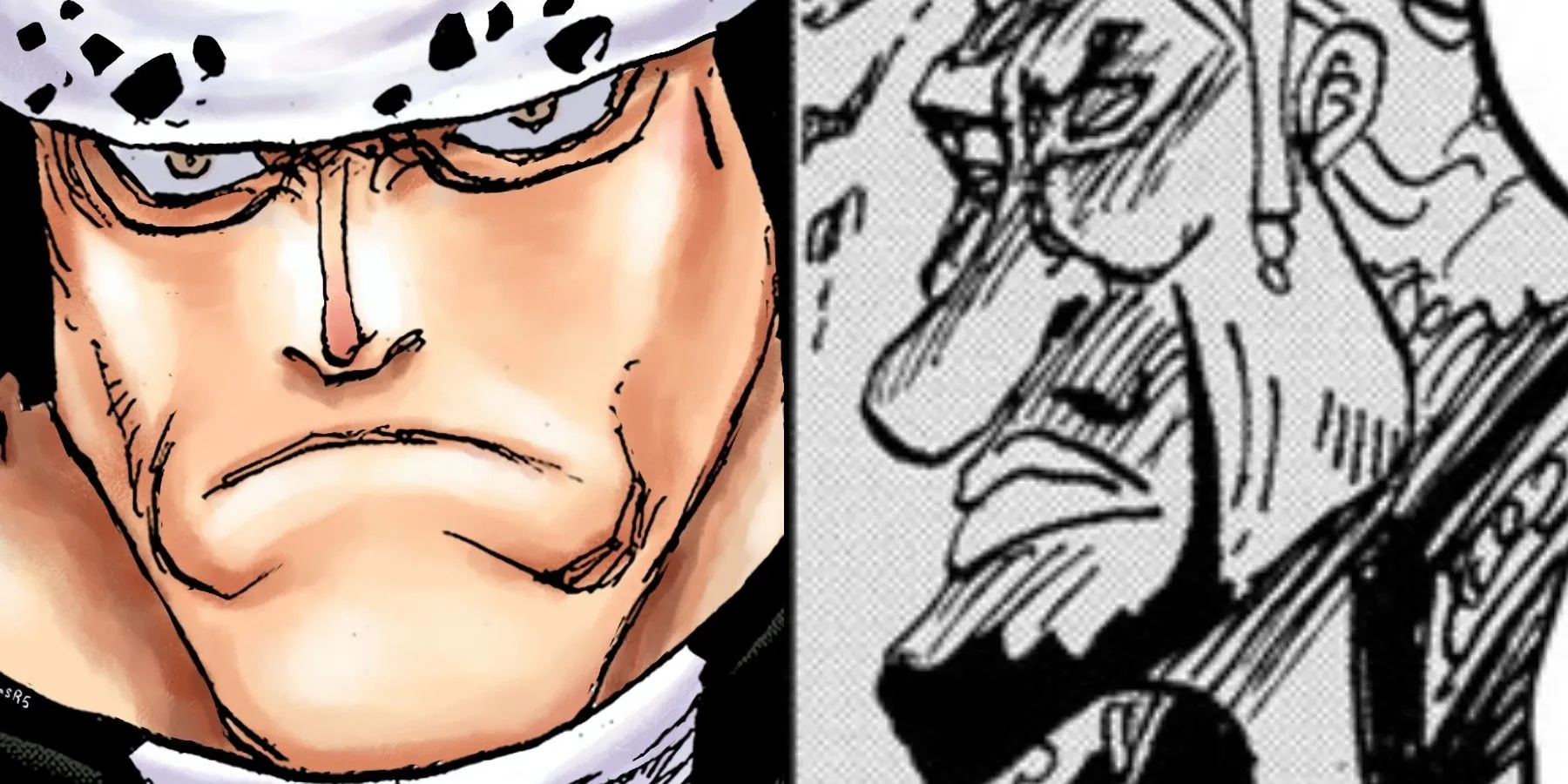 Kuma vs. King Bekori Kuma vs. King Bekori