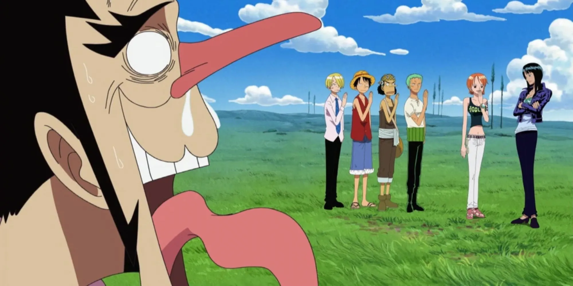 Foxy and the Straw Hats
