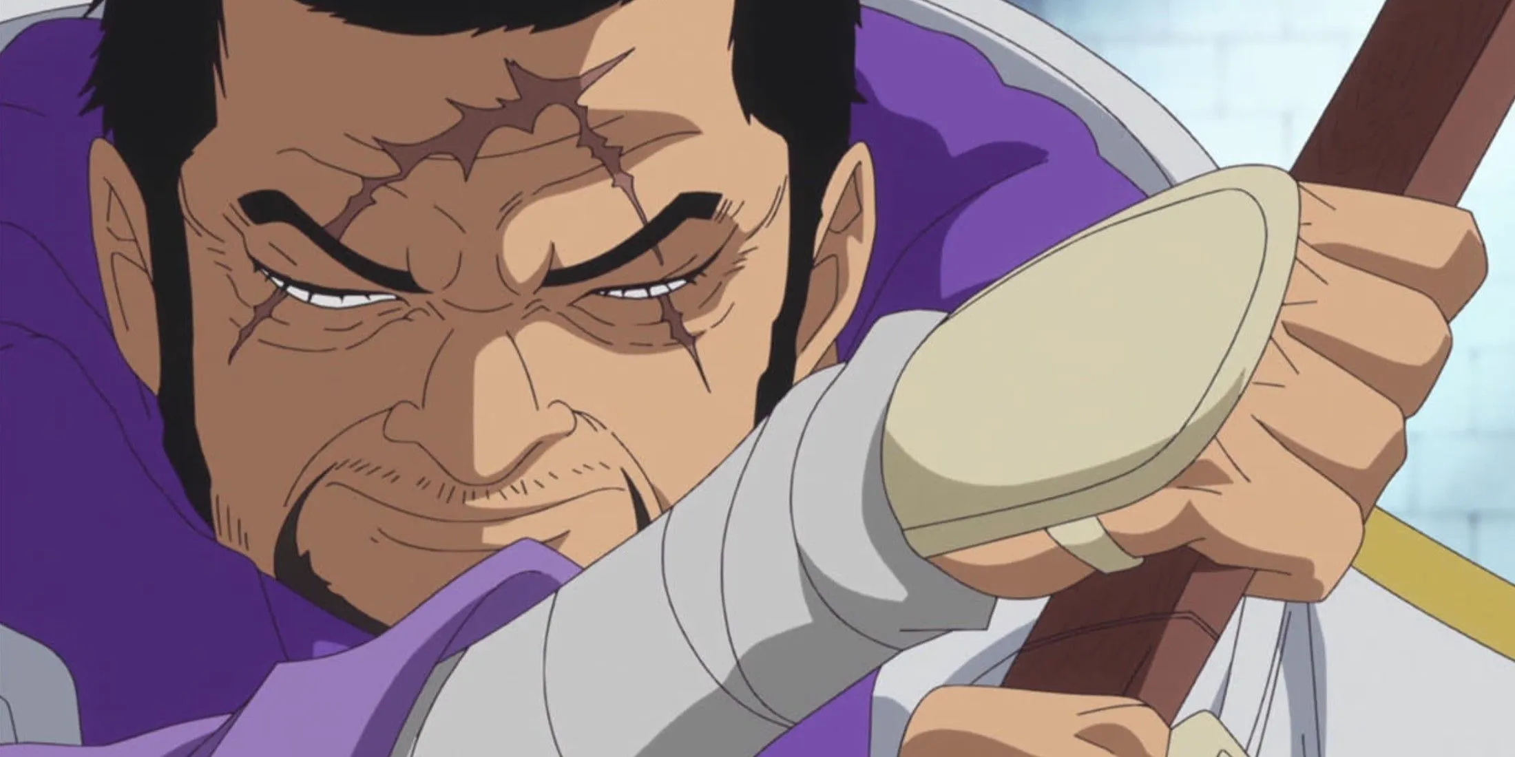 Fujitora in One Piece