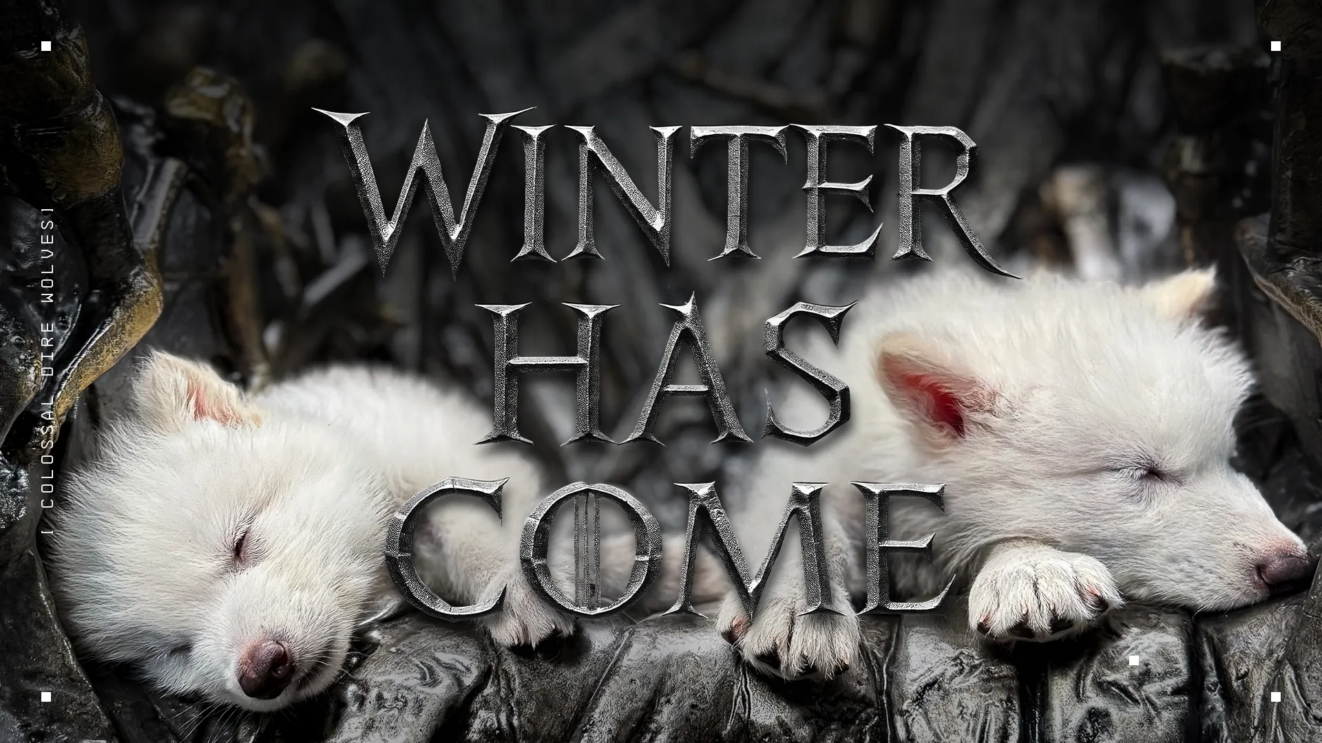 Dire Wolf pups artwork Dire Wolf pups artwork