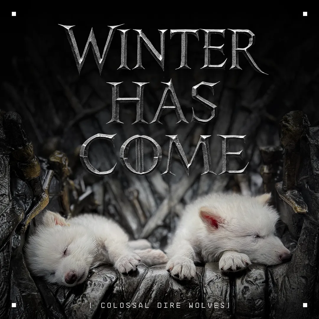 Dire Wolf pups Dire Wolf pups