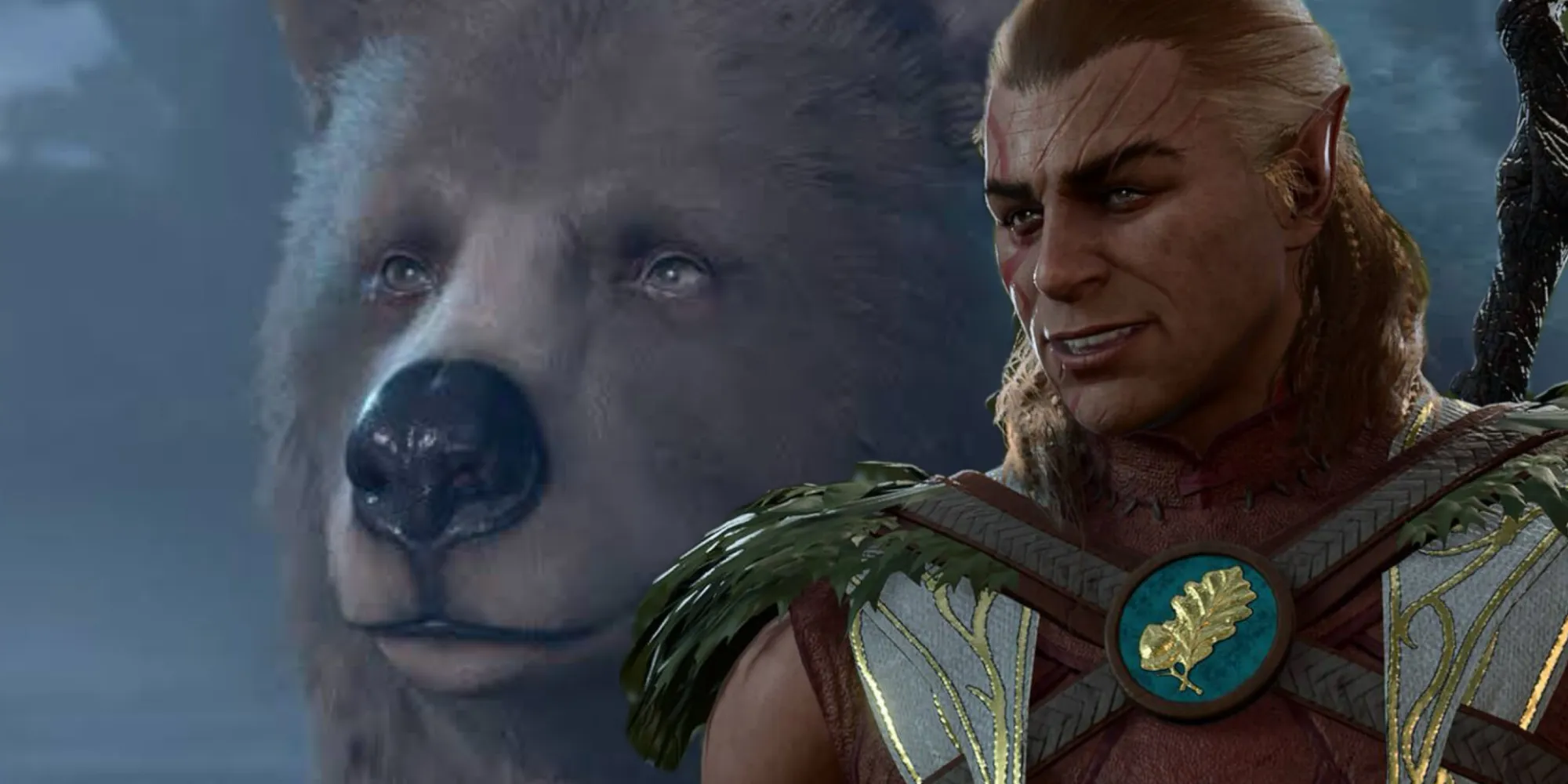Halsin in bear form