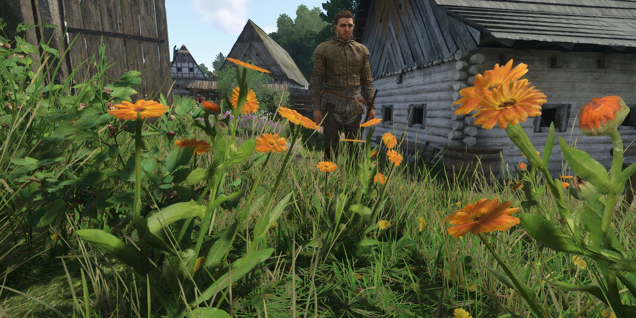 Herbs in KCD2 Herbs in KCD2