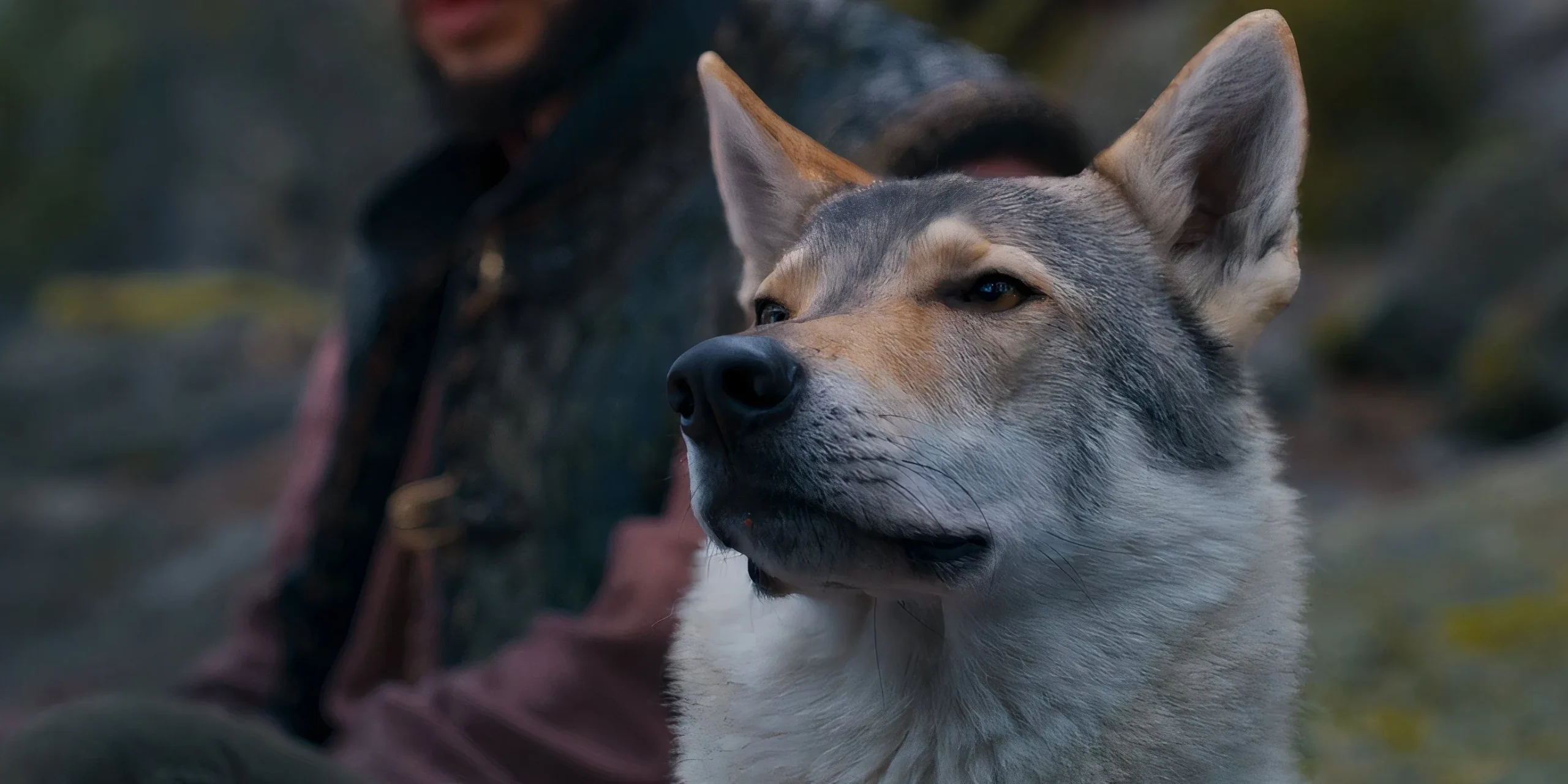 Hopper sniffing in The Wheel of Time Hopper sniffing in The Wheel of Time