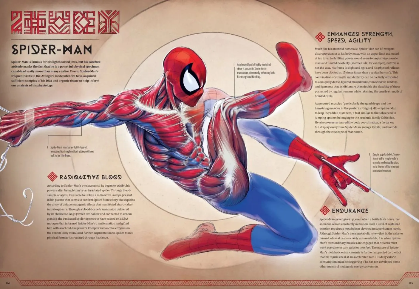 How Spider-Man's Biology Works
