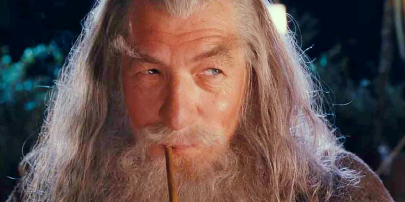 Ian McKellen as Gandalf in The Lord of the Rings