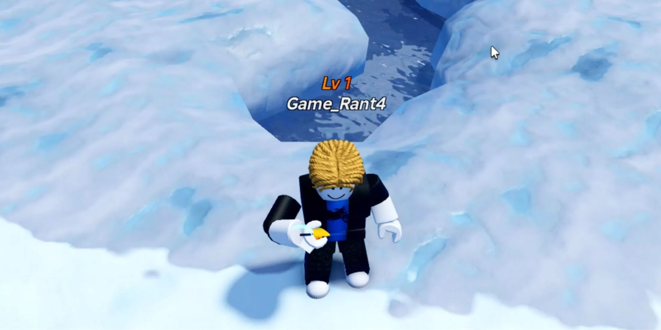 Icebound Detector player