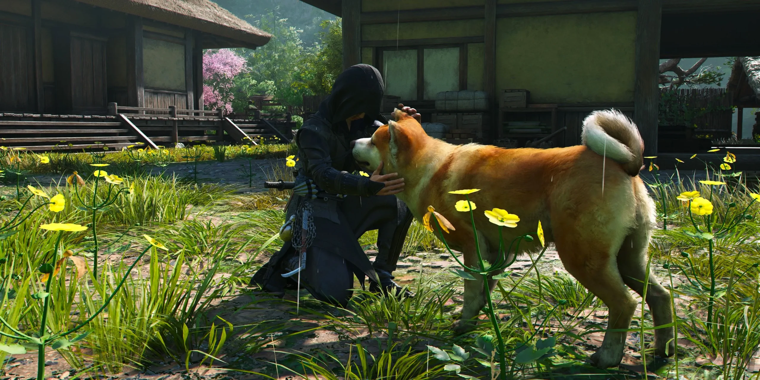 Gameplay screenshot from Assassin's Creed Shadows